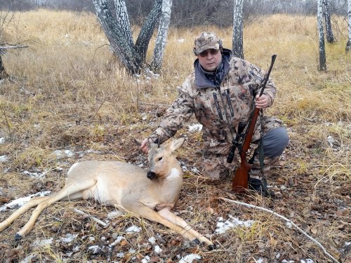 Шильник
