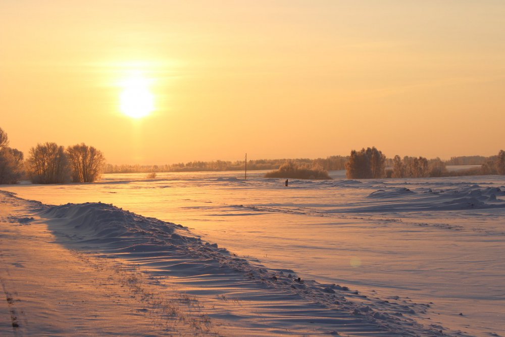 Утро на охоте в начале нового 2015 года.