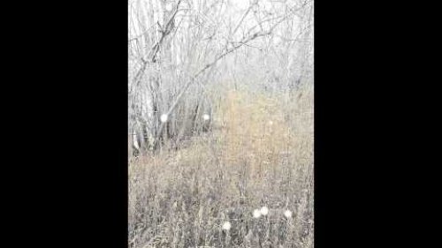 Не успел