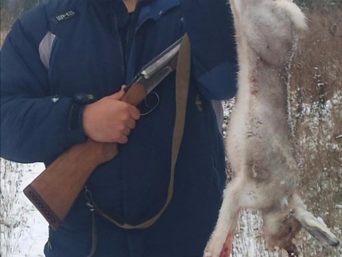 Зайка побегайка