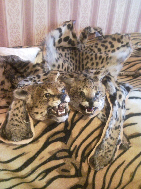 коврики.