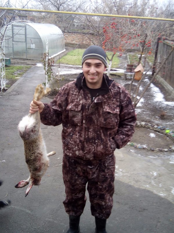 трудовой заяц