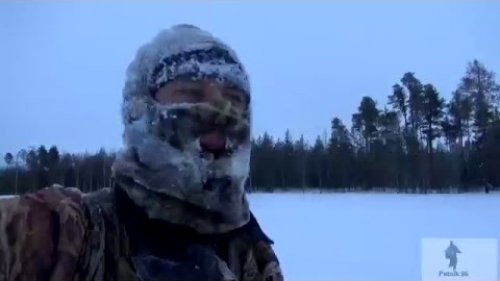 Куропатка. Один день на охоте