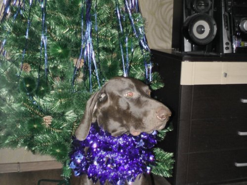 С Новым Годом!