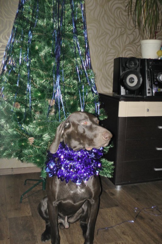 С Новым Годом!