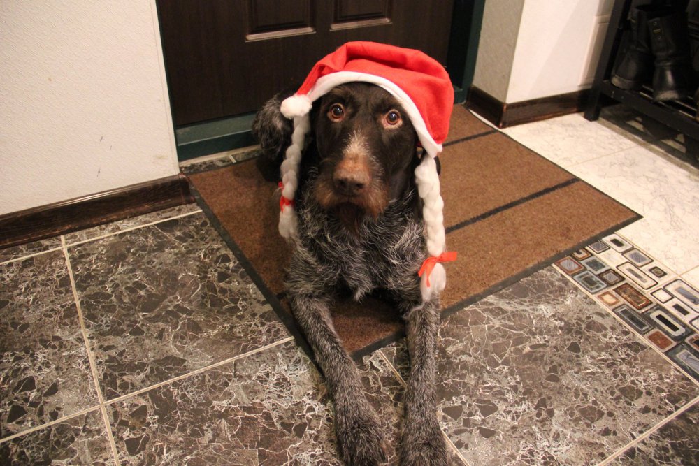 С Новым Годом !