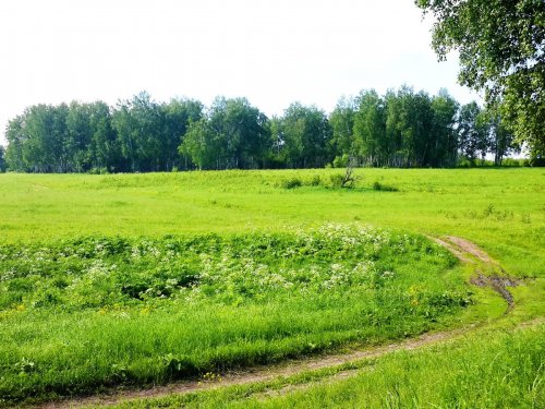 В гостях у летней сказки....