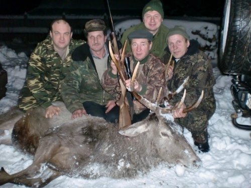 Загонная на оленя Смоленская область
