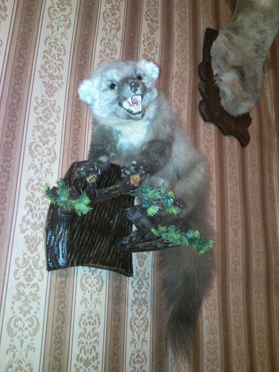 Соболек.