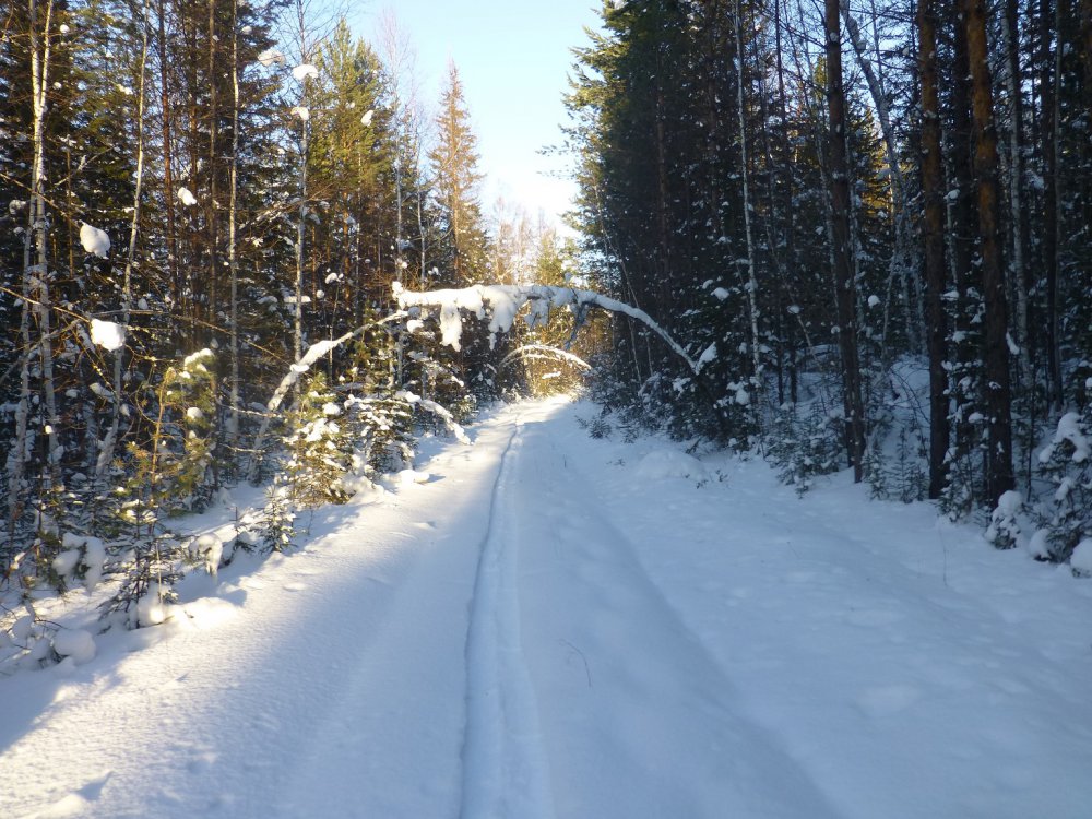 Декабрь.