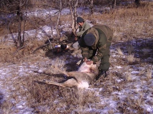 хороший самец
