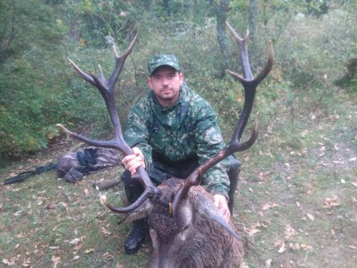 Рев оленя в ОКТЯБРЕ