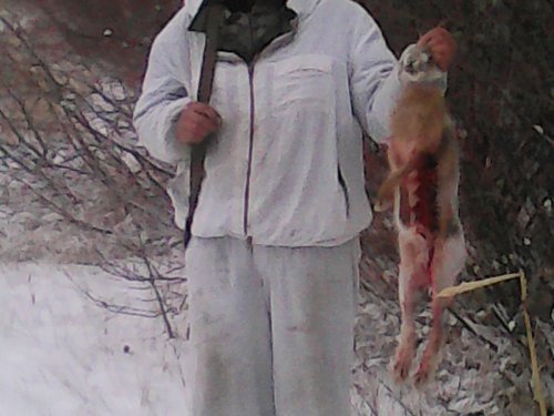 Воскресный заяц