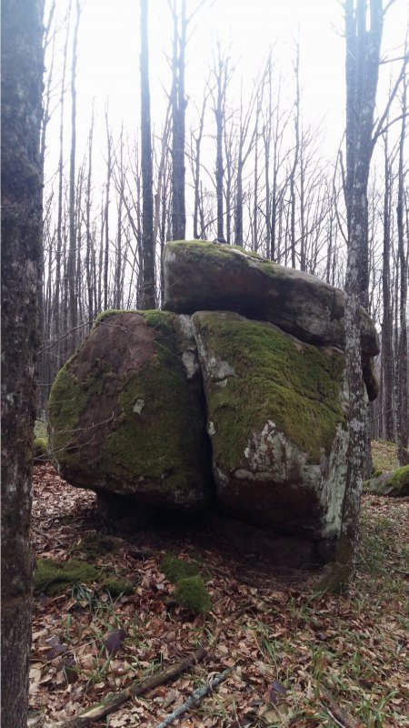 Камни в лесу