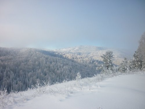 Утро