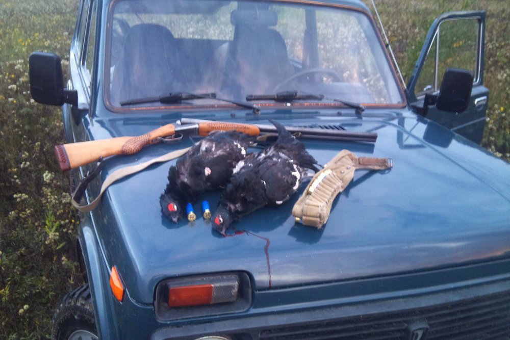 С поля