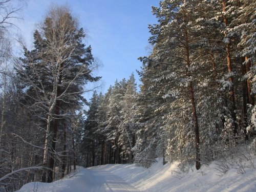 Алтай