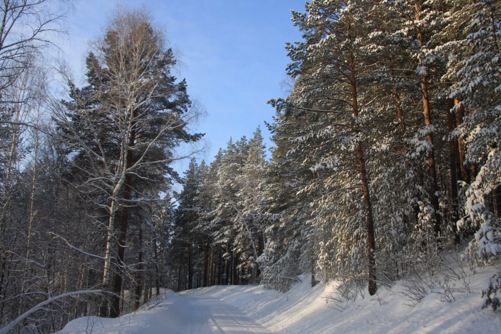 Алтай