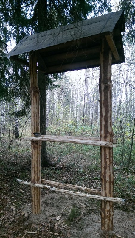 Солонец