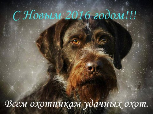 С Новым Годом!!!!!
