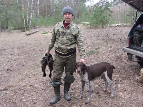 На ужин