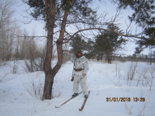 В движении...