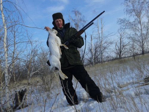 сибирский "кенгуру"