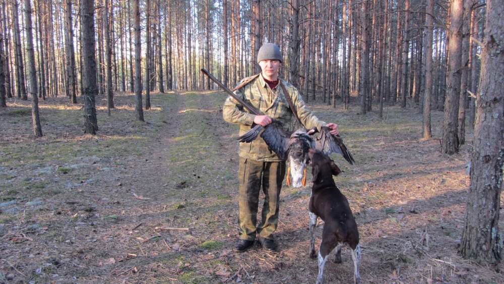 С добычей