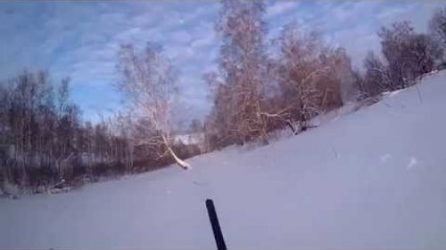 Охота на косача на лунках