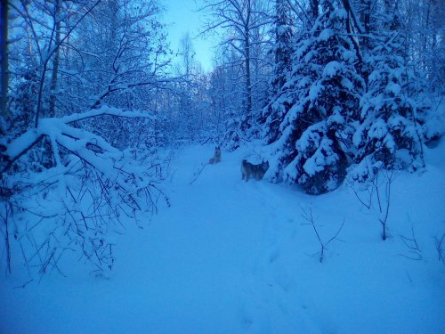 Прогулка