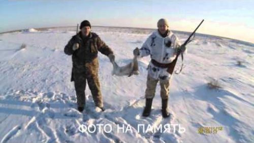 Это просто чудо! Тропим зайца по следам. Зимняя охота на зайца.