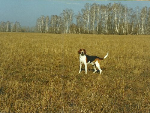 В нагонном. Осень 2002г.