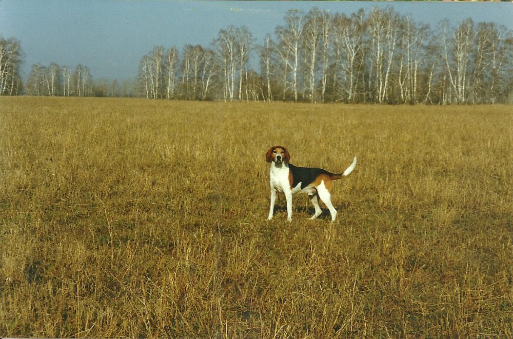 В нагонном. Осень 2002г.