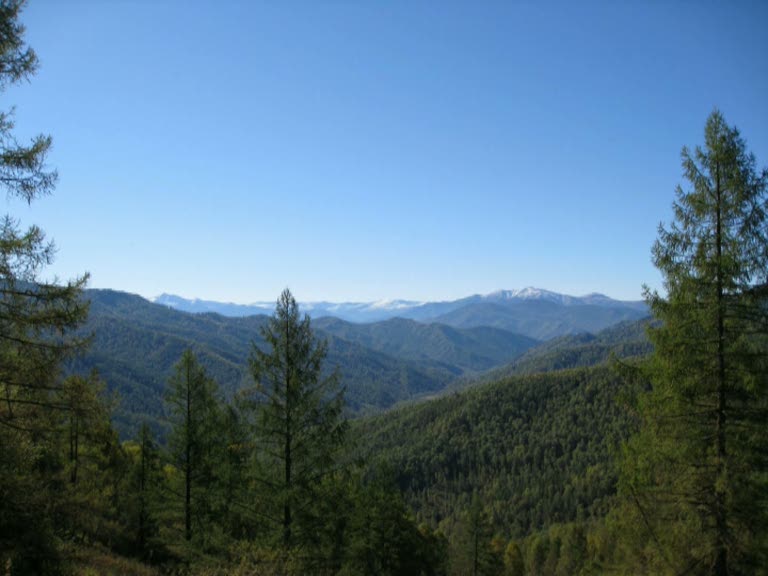 Алтай