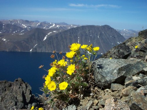 красота