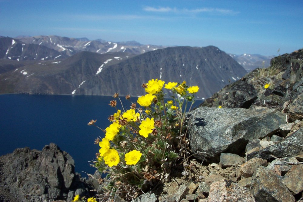 красота