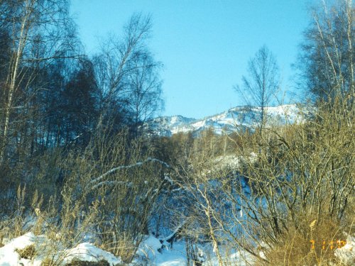 Алтай