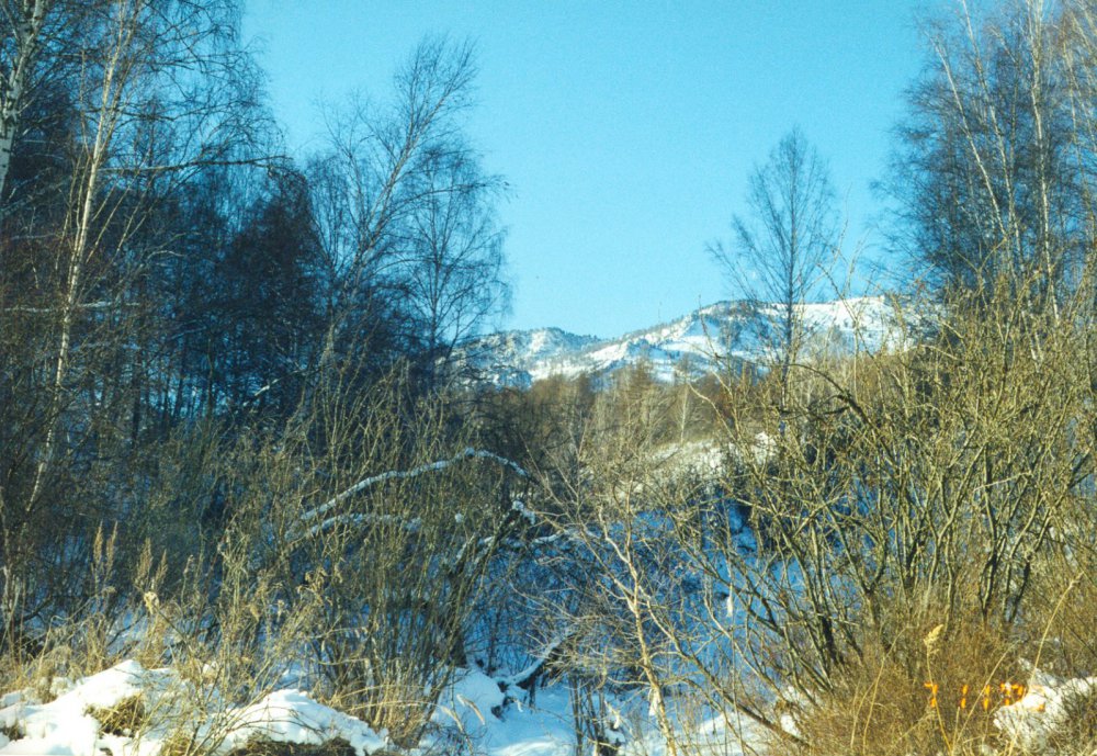 Алтай