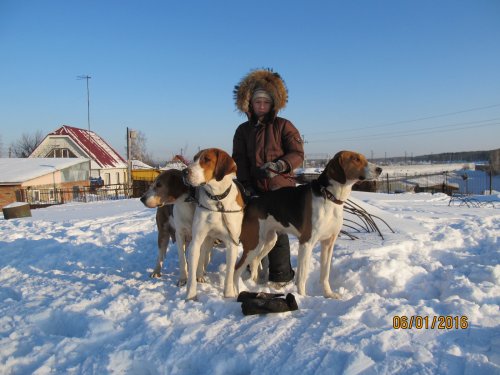 Внучок с собачками Корнева В.В.