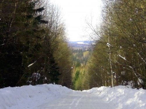 Зимняя дорога.