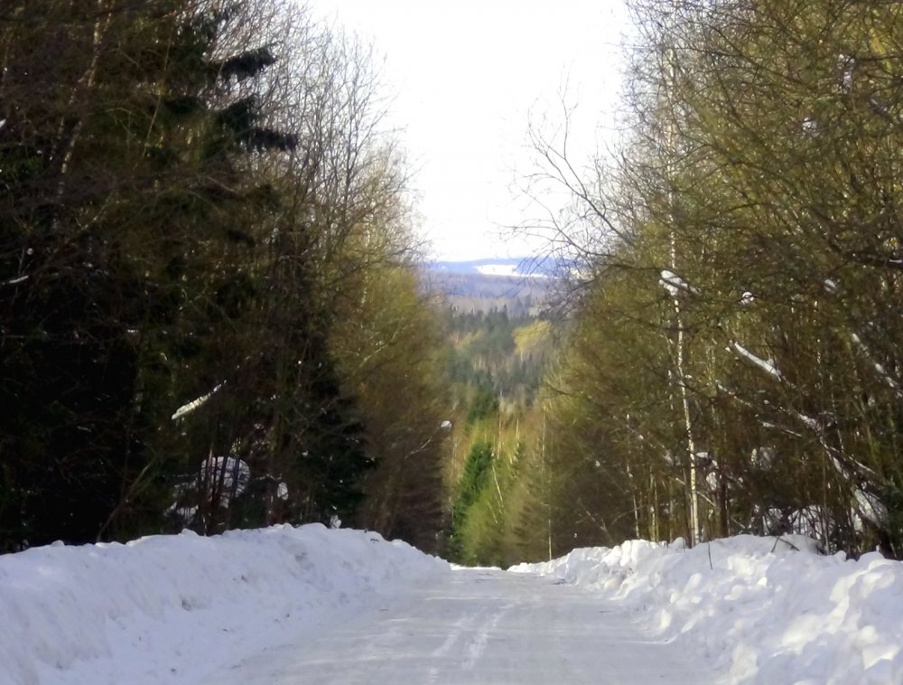Зимняя дорога.