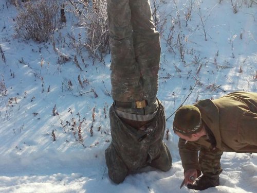 В поисках норных коз после промаха!))) Ну что нашел?