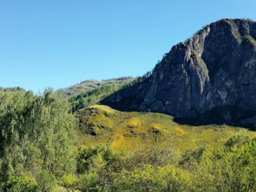 Тень