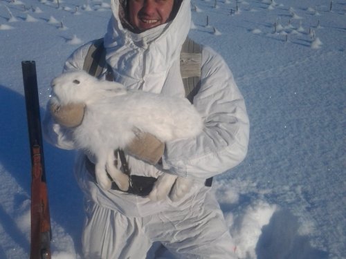 Очень трудовой зайчик!