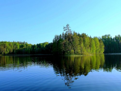 Лесное озерко.