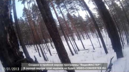 Охота на косулю. Закрытие.26,12,15