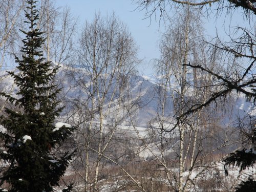 Алтай
