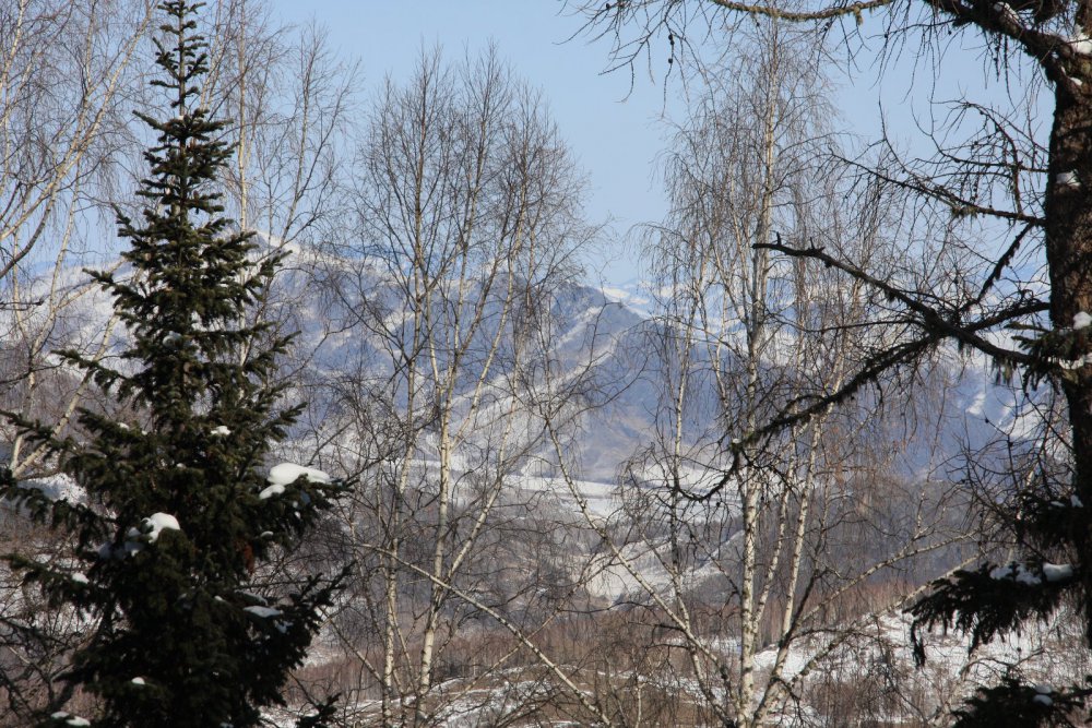 Алтай