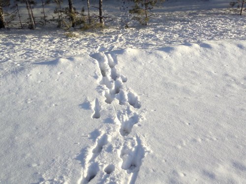 Переход