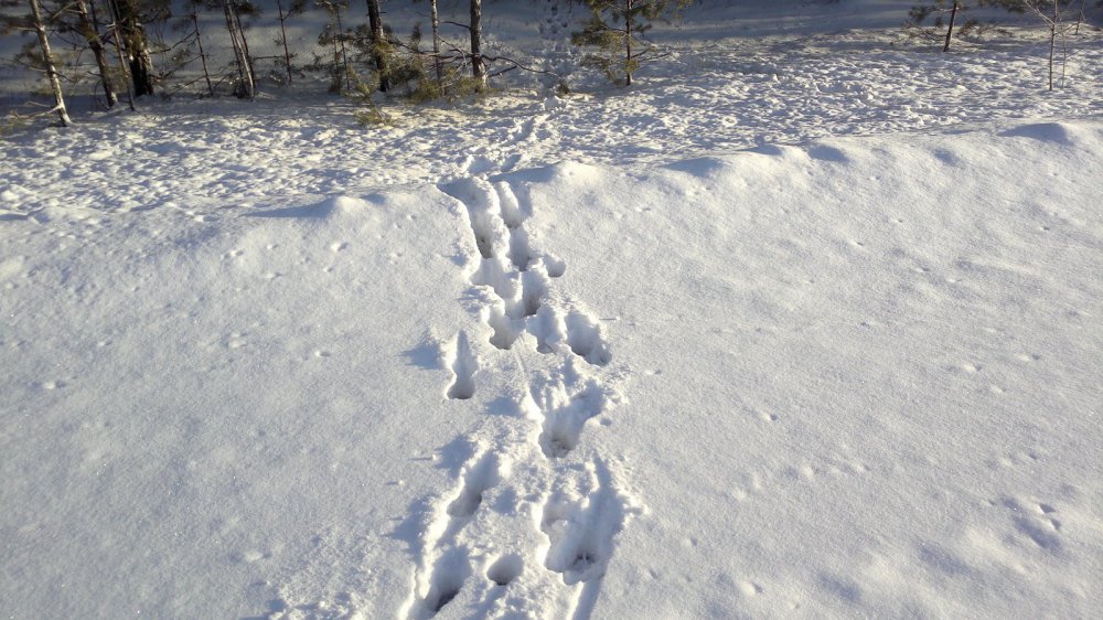 Переход
